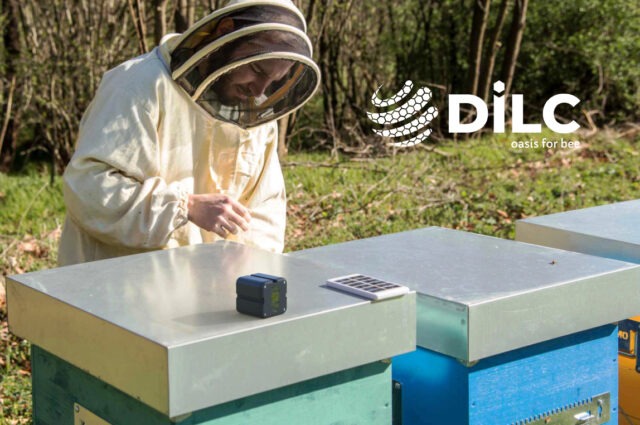 Nasce l’Oasi della Biodiversità di DILC: il progetto con 3Bee per la tutela della biodiversità tramite la tecnologia